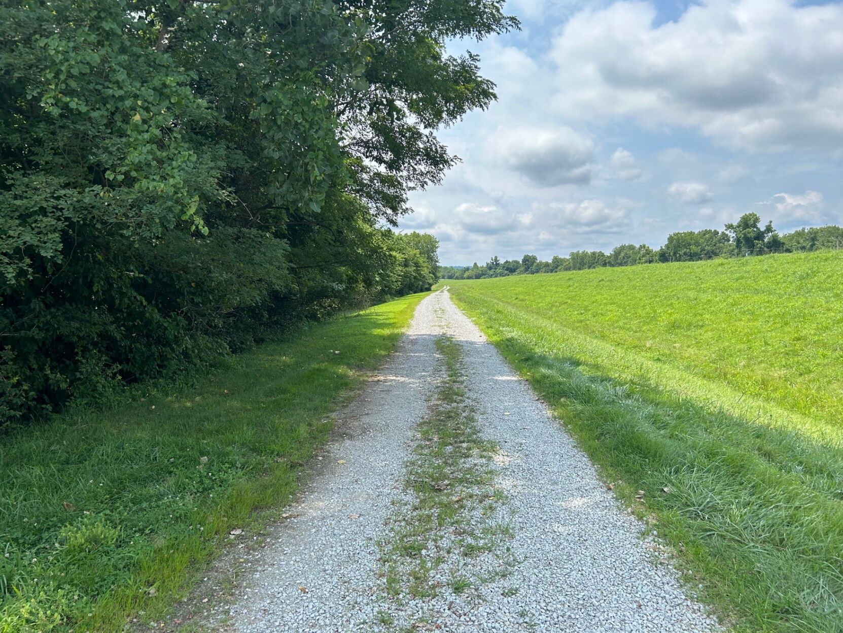 Coroner identifies 78-year-old man killed in southwest Jefferson County shooting